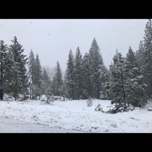 Meet your Posher, Tu